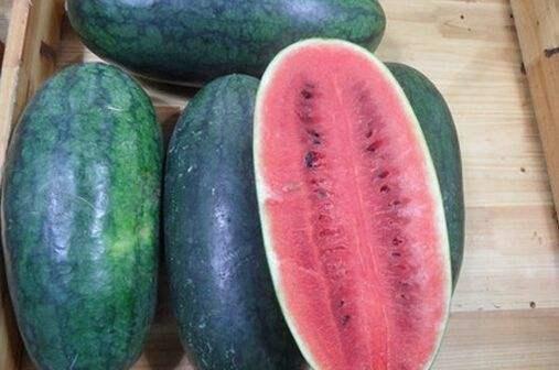 欣欣有点胖乎乎吃瓜黑料