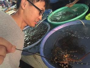 海角吃瓜黑料在哪里买的,海角吃瓜黑料，独家购买渠道大公开！