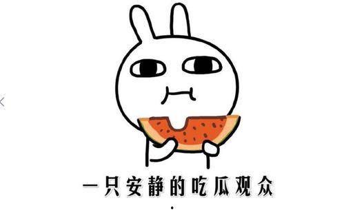 抖音吃瓜黑料爆料,揭秘网红背后的真相